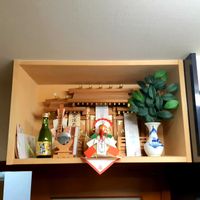 サカキ,胡蝶蘭の画像