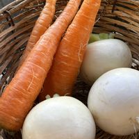 ニンジン,葉牡丹,カブ,花のある暮らし,お花を楽しむの画像