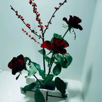 バラ,バラ,ミニバラ,薔薇,バラ、薔薇、ばらの画像