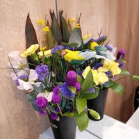 カーネーション,スイートピー,スイートピー,センニチコウ,センニチコウの画像