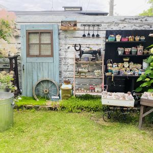 セダム,多肉植物,多肉寄せ植え,エケベリア属,もりもり多肉の画像