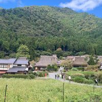 ソバ,レモングラス,感謝,ありがとう❤️,大晦日の画像