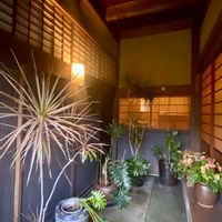 モンステラ,ドラセナ・コンシンネ,簾戸,２０２０年５月同期,古住居暮らしの画像