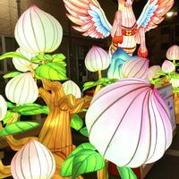 モモ,モモ,イルミネーション。,イルミネーション。,イルミネーションの画像