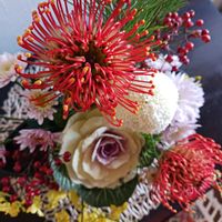オンシジウム,キク,ノイバラ,マツ,葉牡丹の画像