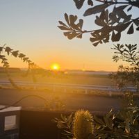 バンクシア,オージー好き,お花と暮らす,2026年　1月1日　初日の出,2026スタートの画像