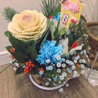 カーネーション,カスミソウ,ハボタンの画像