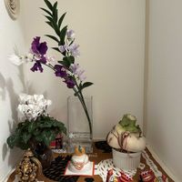 シクラメン,ミント,ローズマリー,マイヤーレモン,マジック アマリリスの画像