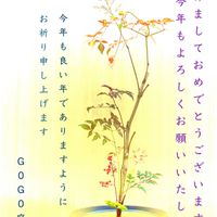 ナンテン,ナンテン,レッドロビン,初日の出,山野草大好き協会の画像