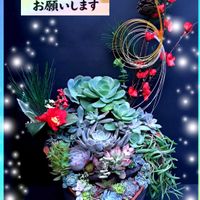 ルビーネックレス,花うらら,マリリン,チャークローズ,ピーチホリデーの画像