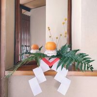 シダ,みどりのある暮らし,みどりに癒されるの画像