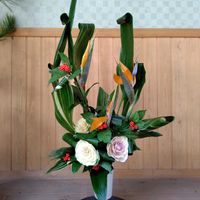 ストレリチア,センリョウ,ナンテン,マツ,ハランの画像