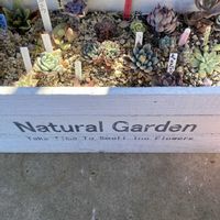 福兎耳,ワクワクドキドキ,謹賀新年の画像