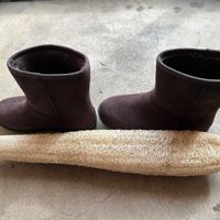 ヘチマ,ヘチマ,山野草,花のある暮らし,おうち園芸の画像