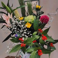 カスミソウ,キク,ユリ,南天(なんてん),葉牡丹（はぼたん）の画像