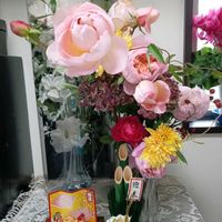 アジサイ,アジサイ,紫陽花,ローズヒップ,ローズヒップの画像