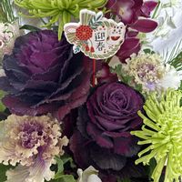 アルストロメリア,シンビジウム,ハボタン,デンファレ,ワカマツの画像