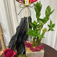 南天,ミリオンバンブー,バラ ドンファン,お正月,美味しい〜♡の画像