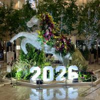 クスノキ,御神木のクスノキ,本物のお花なら良かったけれど,この時点で動きが止まる,ガーデニングの画像