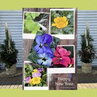 ミント,パンジー,花壇,門松  ,近所の公園の画像