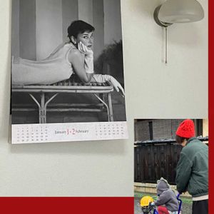 スーパートレニア カタリーナ,スーパートレニアカタリーナアイスリバー,スーパートレニアカタリーナ ラムレーズン,水耕栽培,リビングの画像