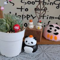 コルテス,アリス♡,エケベリア属,多肉大好き,多肉植物のある暮らしの画像