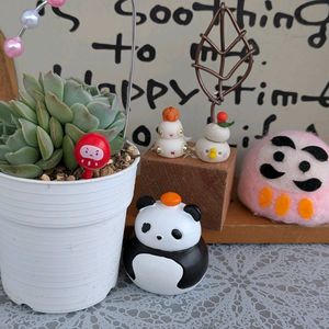 コルテス,アリス♡,エケベリア属,多肉大好き,多肉植物のある暮らしの画像