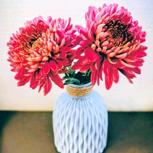 ペッパーベリー,ベアブリック,デコラマム クチュールブラッシュ,デコラマム クチュールブラッシュ,ドライフラワーの画像