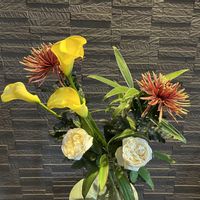 シクラメン ピポカ,バラ エルヴェ ドゥ フランソワ,スワッグ,しめ縄飾り,お正月花の画像