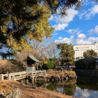 サカキ,マツ,雲仲間,Juneの会,武器ではなく花をの画像