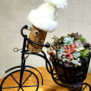 多肉寄せ植え,100均雑貨,コルク人形の画像