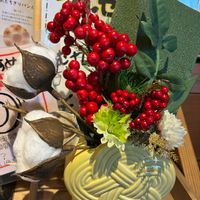 ペパーミント,フィカス・アルテシマ,赤ワイン,珈琲店の玄関,コーヒーの産地の画像