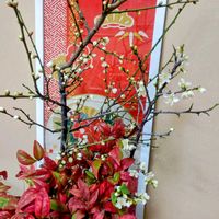 ウメ,オタフクナンテン,白梅・緑萼,大人の着せ替え人形,花のある暮らしの画像