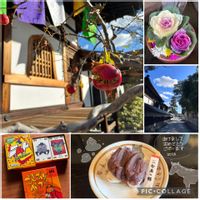 ザクロ,葉牡丹,我が家のお正月,平和な証,こんなもんだの画像