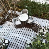 カラー,クレソン,スイセン,ミカン,ヤマボウシの画像