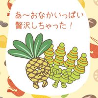 数珠星,鉄甲丸,多肉植物,ユーフォルビア,クラッスラの画像