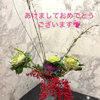 フランネルフラワー エンジェルスター,はつゆきかずら,山茶花(さざんか）の画像