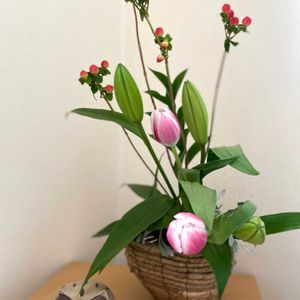 チューリップ,つぼみ,生け花,花のある暮らし,春が待ち遠しいの画像