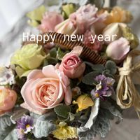 ネメシア,ネメシア,花かんざし,オステオスペルマム,シルバーレースの画像