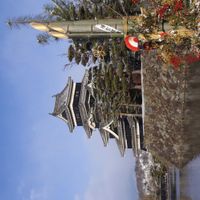 ケヤキ,サクラ,ツツジ,ヒイラギ,マツの画像