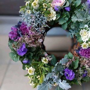 葉牡丹,ビオラ,カロケファルス・シルバーブッシュ,寄せ植え,リースの画像