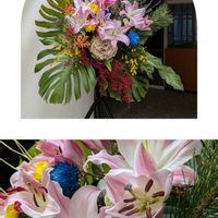 カサブランカ,愛媛県,土曜日は お空の発表会,午年の画像