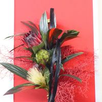 プロテア,ロウヤガキ,われら17年組の画像