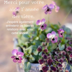 シクラメン,ビオラ,アイリッシュモス,EMSビオラ,EMS  ビオラ　スプリングシリーズの画像