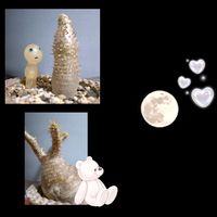 満月,パキポディウム・グラキリス,パキポディウム イノピナツム,お月様。,多肉植物の画像