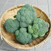 ブロッコリー,癒し,笑顔になれる♪,家庭菜園,畑の画像