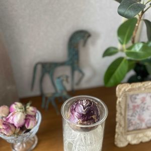 北海道,オーガニック野菜 ,スノーガーデン,雫アイスキャンドル,家庭菜園の画像