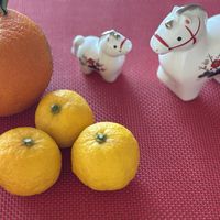 柚子,ダイダイ,お正月の画像