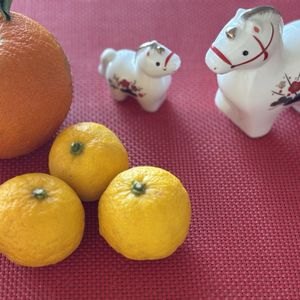 柚子,ダイダイ,お正月の画像