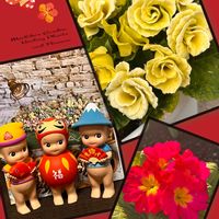 プリムラ,シダ,バラ咲きジュリアン,プリムラ　ジュリアン,バラ咲ジュリアン マスカットのジュレの画像